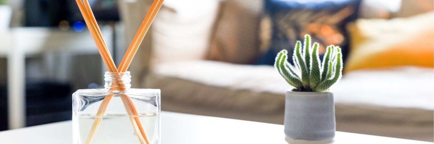 Un diffuseur de parfum accompgné d'un cactus qui sont posés sur une table blanche.