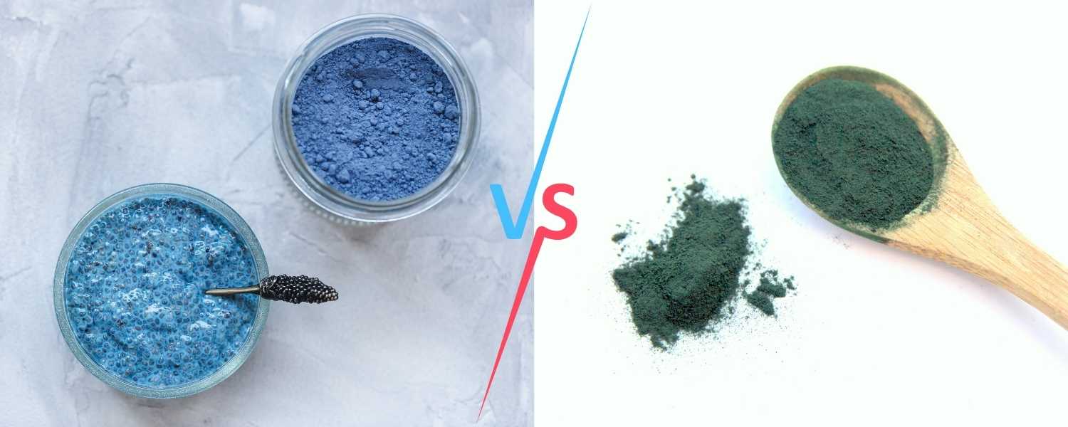 Une photo représentant de la spiruline bleue à gauche, de la spiruline verte à droite, avec le signe "VERSUS" en plein milieu.