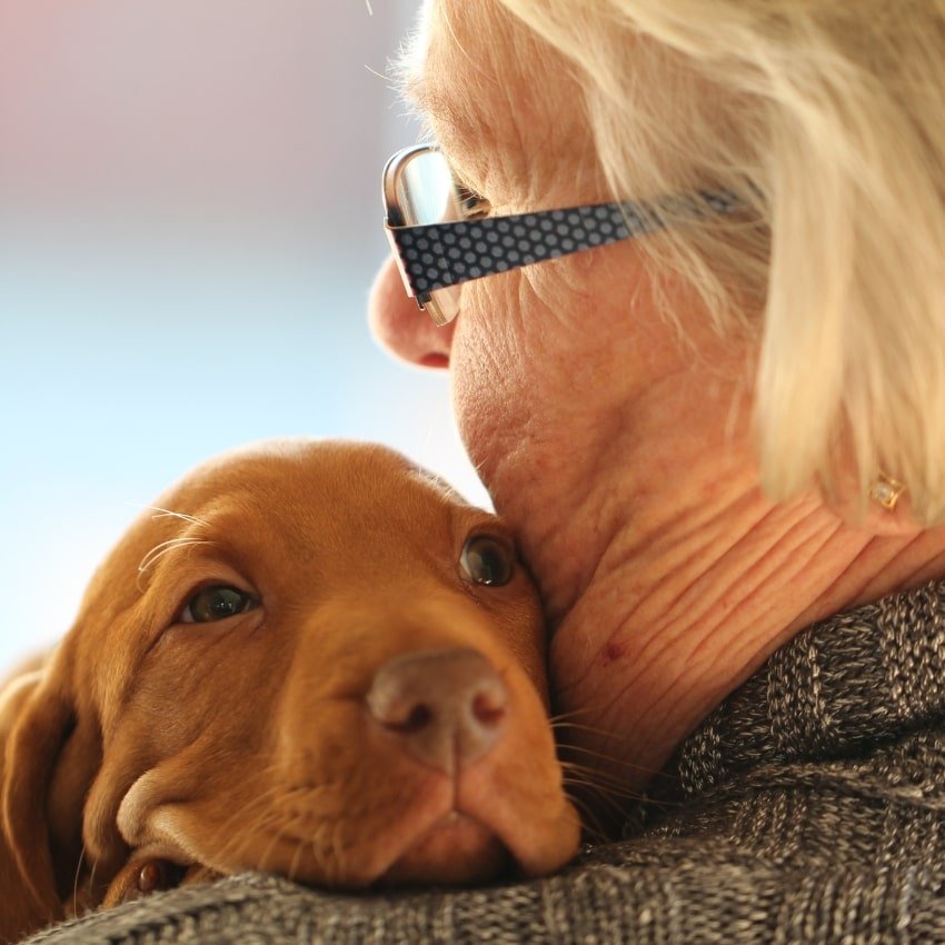 Un chien qui pose sa tête sur l'épaule d'une grand-mère