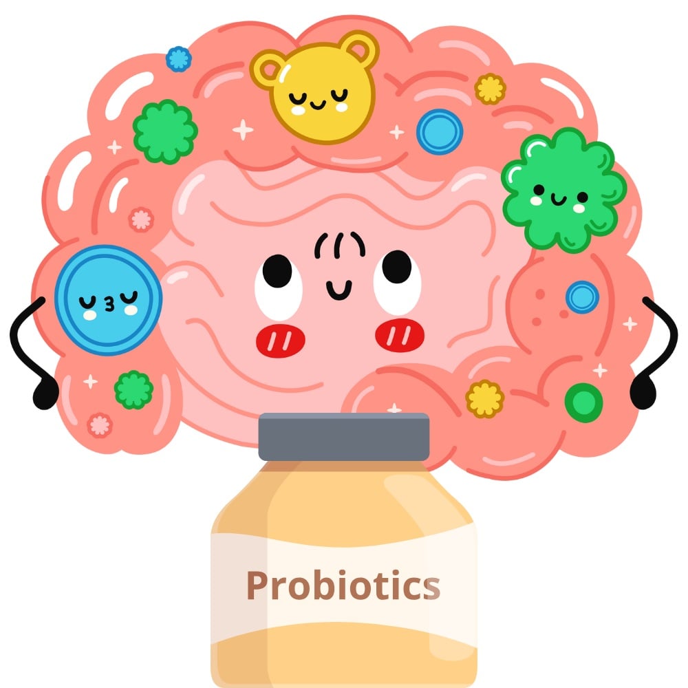 Illustration d'un pot de probiotiques devant un intestin