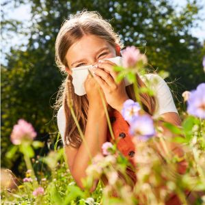 Illustration de produits contre les allergies