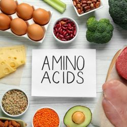 Une affiche posé au milieu de fruits et légumes, sur laquelle est inscrit "Amino acids"