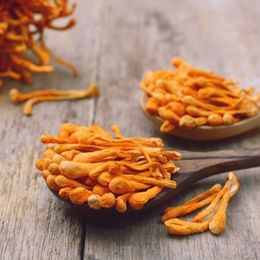 Des cordyceps dans une cuillère en bois posée sur une table