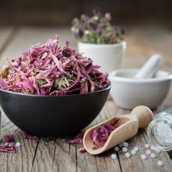 Fleurs séchées d'échinacée dans un bol noir, avec un pilon et mortier blanc en arrière-plan.