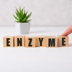 Bloc de bois formant le mot 'enzyme' avec une plante en arrière-plan, illustrant le rôle des enzymes digestives dans le processus de digestion.