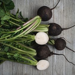 Radis noirs frais avec leurs fanes, posés sur une table en bois rustique.