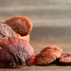 Champignons reishi séchés dans un bol en bois, avec une texture rugueuse bien visible.