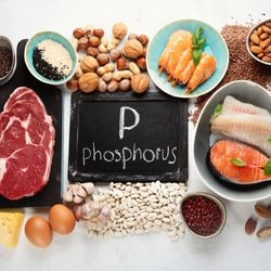 Aliments riches en phosphore, comme la viande, le poisson, les œufs et les noix, entourant une ardoise avec l'inscription 'P phosphorus'