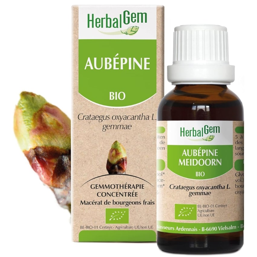 Aubépine Bio - Extrait de Bourgeons Frais - 30 ml - HerbalGem