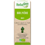 Bruyère Bio - Extrait de Bourgeons Frais - 30 ml - HerbalGem