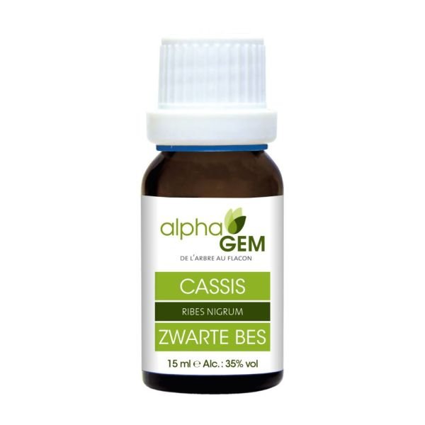 Cassis Bio - 15 Ml - Alphagem