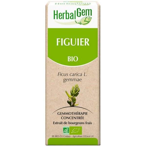 Figuier Bio - Extrait De Bourgeons Frais - 30 Ml - HerbalGem