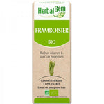 Framboisier Bio - Extrait De Bourgeons Frais - 30 ml - HerbalGem