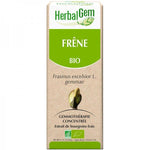 Un extrait de bourgeons frais de frêne de 50 ml de la marque HerbalGem.