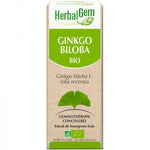 Le Ginkgo Biloba est reconnu pour son action sur le confort circulatoire.