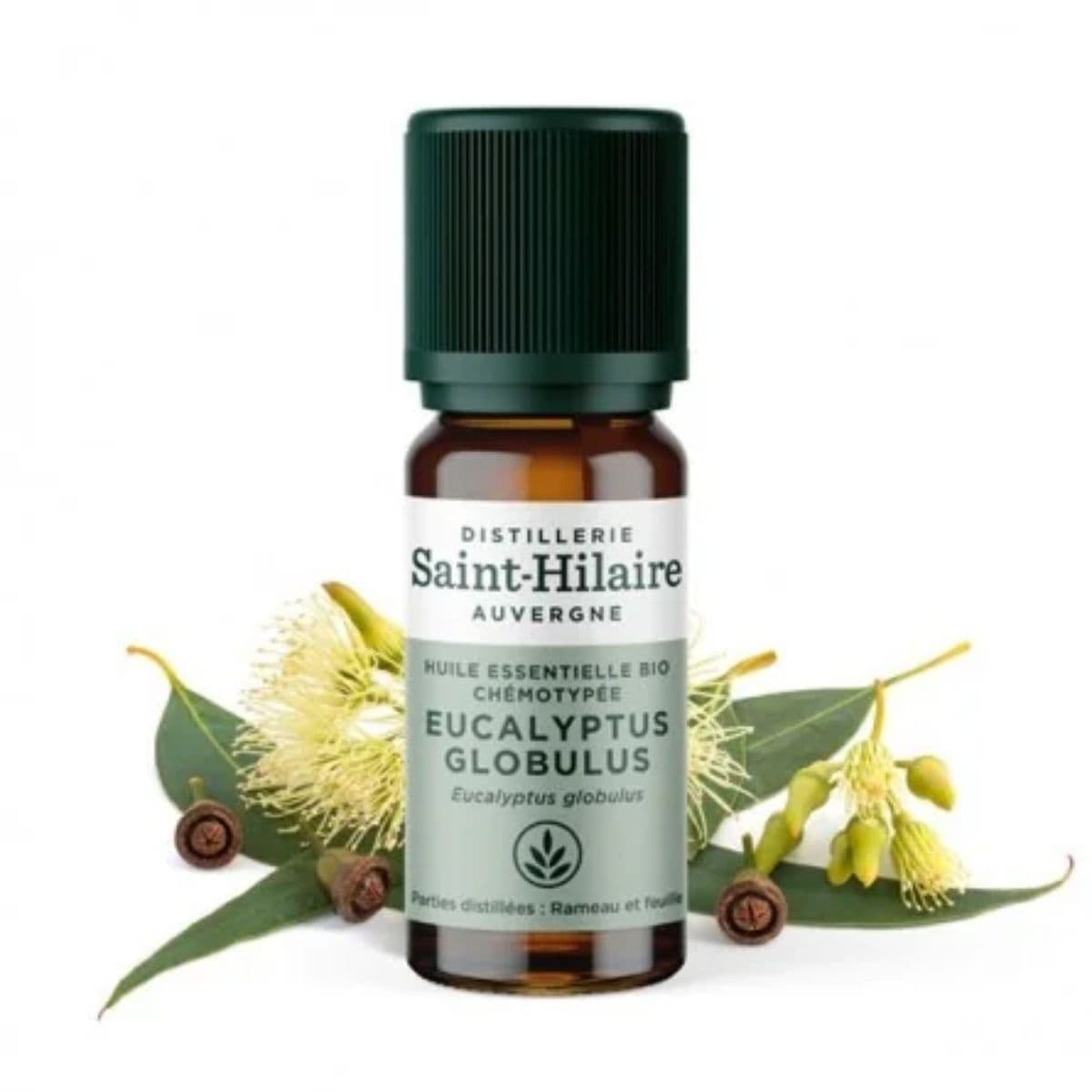 Un flacon de 10ml d'huile essentielle d'eucalyptus globulus de la distillerie Saint-Hilaire accompagné de feuilles d'eucalyptus en fond.