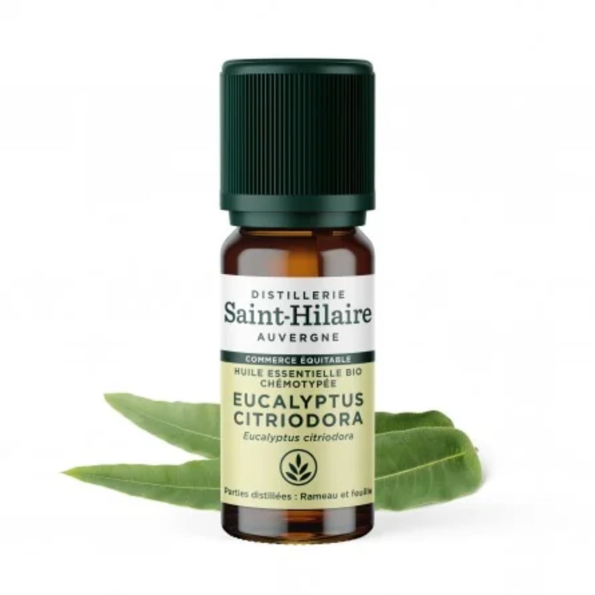 Un flacon d'Huile Essentielle d'Eucalyptus Citronné Bio de la distillerie Saint-Hilaire en 10ml accompagné de feuilles d'eucalyptus en arrière plan.