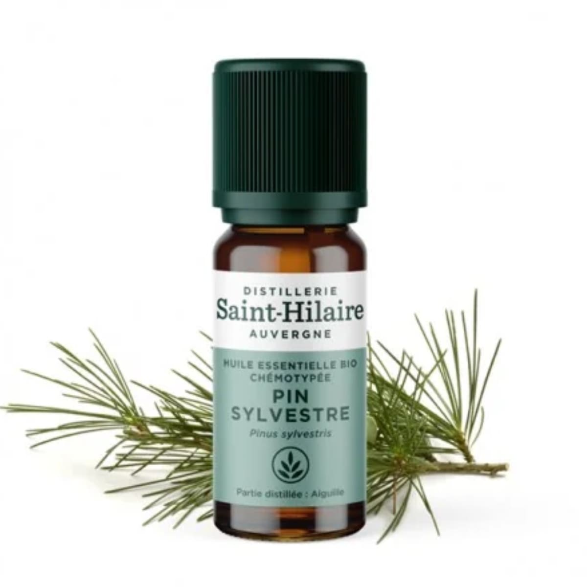 Un flacon d'Huile Essentielle de Pin Sylvestre Bio de la distillerie Saint-Hilaire en 10 ml.