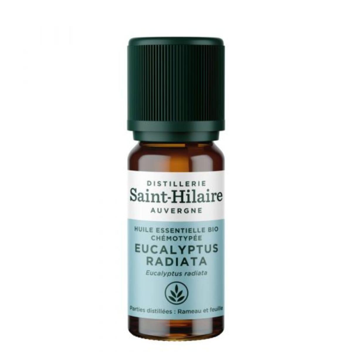 Un flacon de 10ml d'huile essentielle d'eucalyptus radiata de la distillerie Saint-Hilaire.