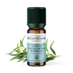 Un flacon de 10ml d'huile essentielle d'eucalyptus radiata de la distillerie Saint-Hilaire accompagné de feuilles d'eucalyptus en arrière plan.