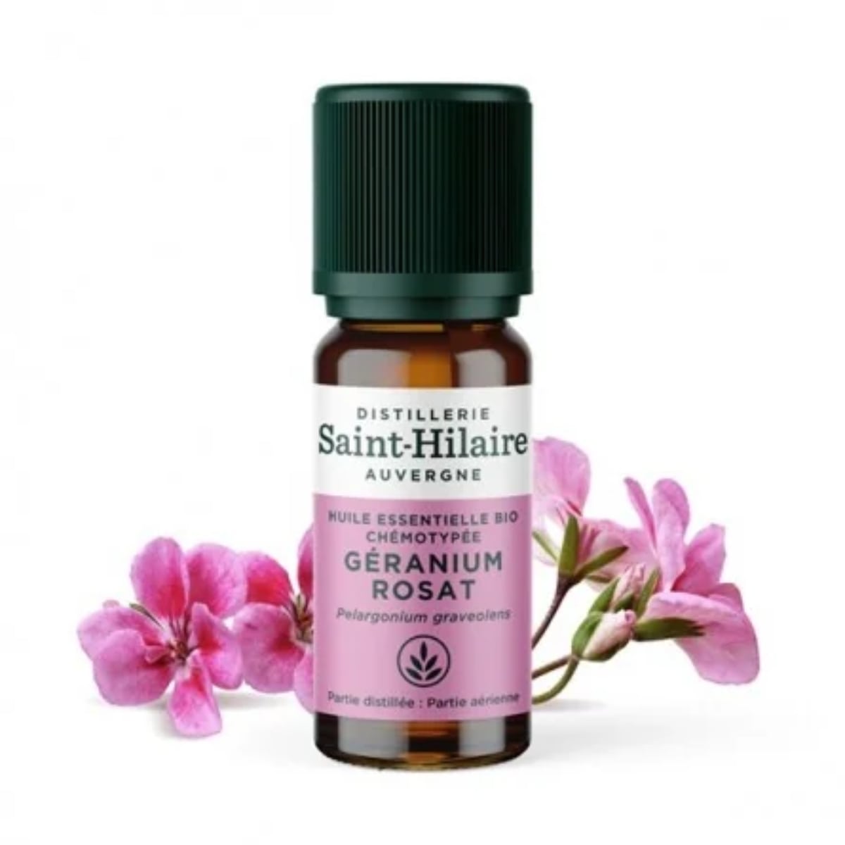 Un flacon de 10ml d'huile essentielle de géranium rosat de la distillerie Saint-Hilare accompagné de fleurs de géranium rosat en arrière plan.