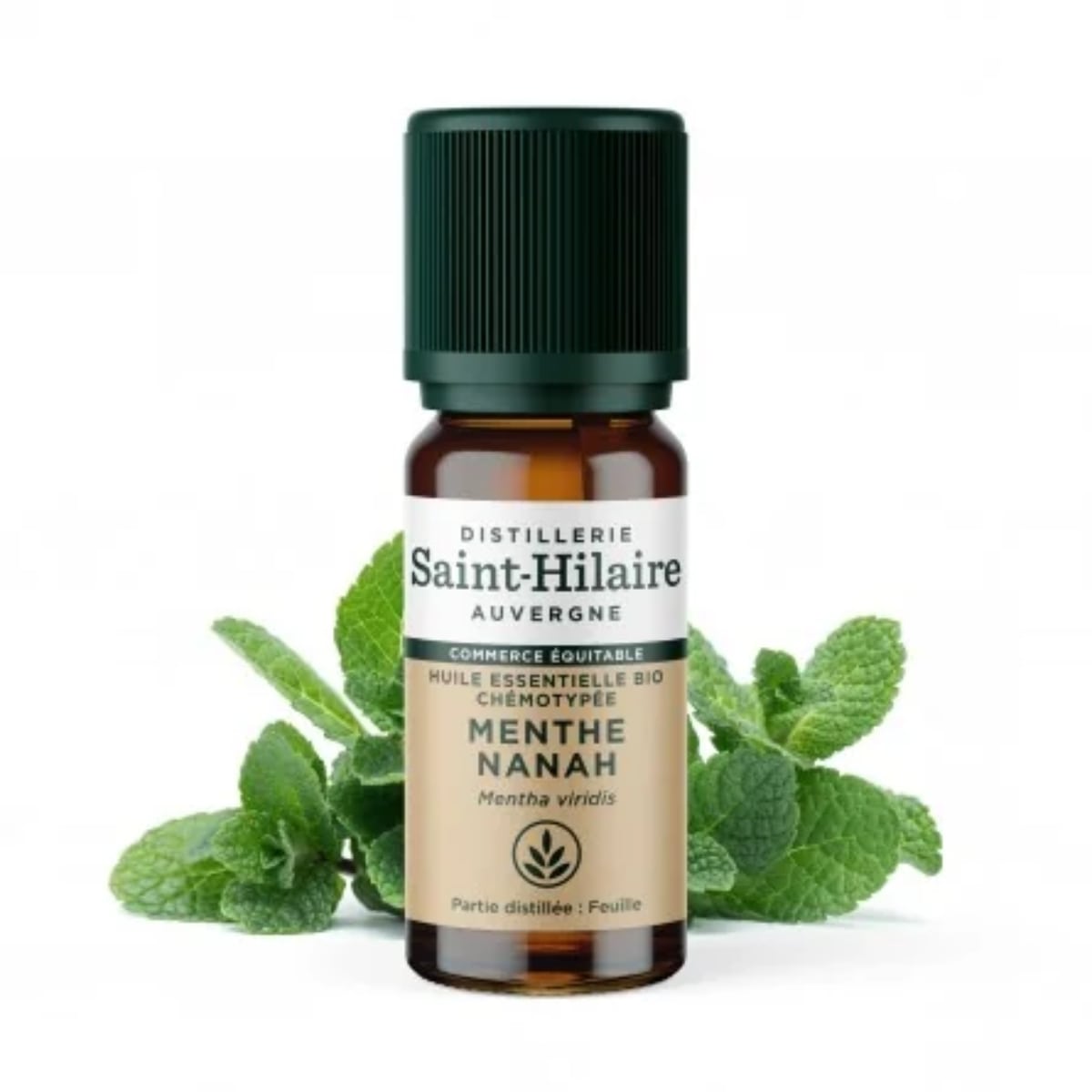 Un flacon de 10ml d'huile essentielle de menthe nanah de la distillerie Saint-Hilaire accompagné de feuilles de menthe nanah en arrière plan.