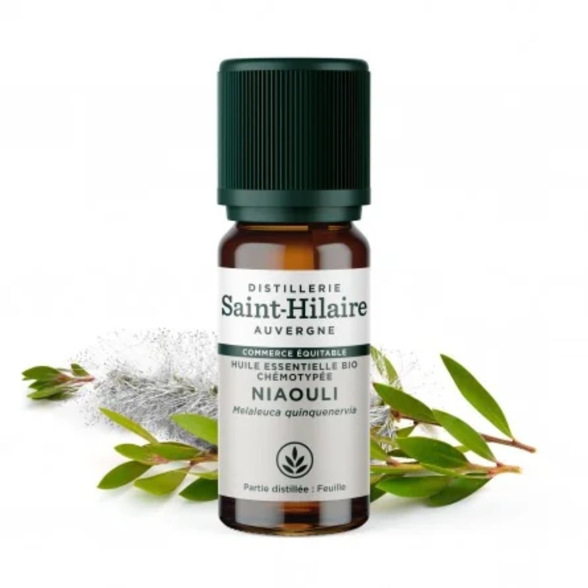 Un flacon de 10ml d'huile essentielle de niaouli de la distillerie Saint-Hilaire.