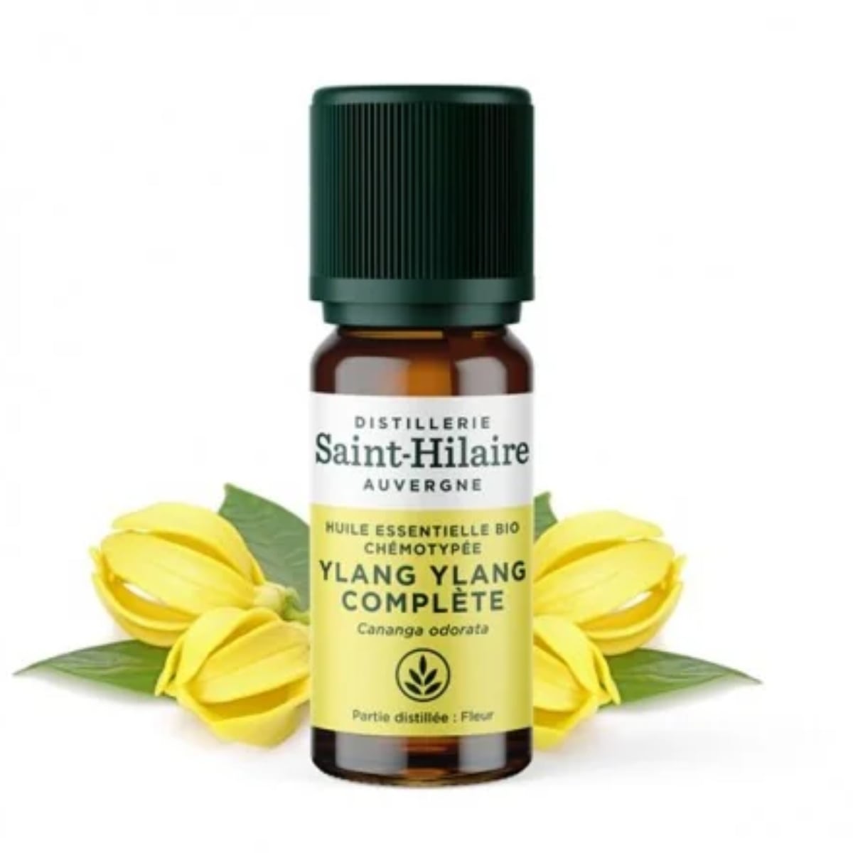 Un flacon de 10ml d'huile essentielle d'ylang ylang de la distillerie Saint-Hilaire accompagné de fleurs d'ylang ylang.