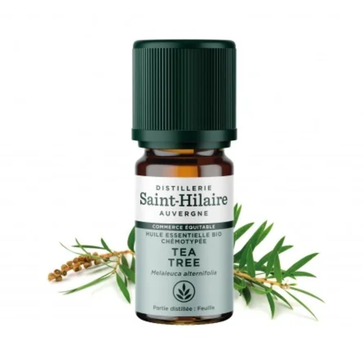 Un flacon d'Huile essentielle de Tea Tree Bio de la distillerie Saint-Hilaire en 10ml accompagné de feuilles de thé en arrière plan.