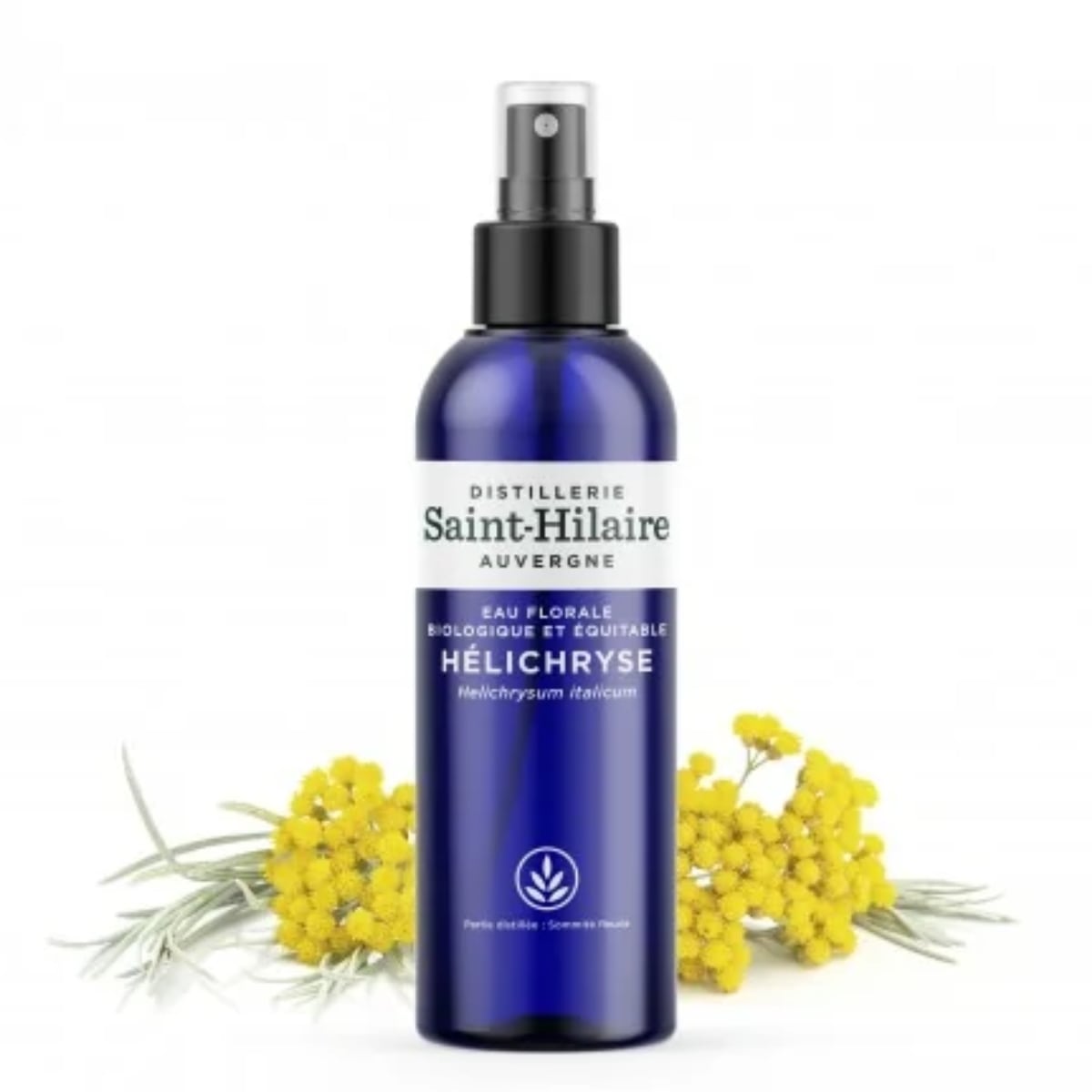 Un flacon d'eau florale d'Helichryse Bio de la distillerie Saint-Hilaire en 200 ml accompagné de fleurs d'hélichryse en arrière plan.