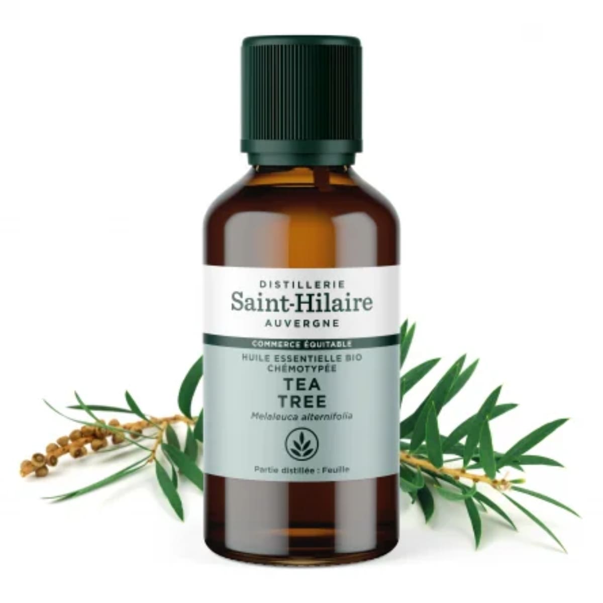 Un flacon de 50ml d'huile essentielle de tea tree de la distillerie Saint-Hilaire accompagné de feuilles de tea tree en arrière plan.