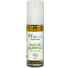 Huile De Calophylle Bio - Flacon De 30 Ml - AyurVana