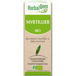 Myrtillier Bio - Extrait De Bourgeons Frais - 30 Ml - HerbalGem