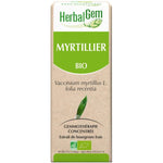 Le myrtillier est idéal dans un régime sans sucre