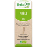 Prêle Bio - Extrait De Bourgeons Frais - 30 Ml - HerbalGem