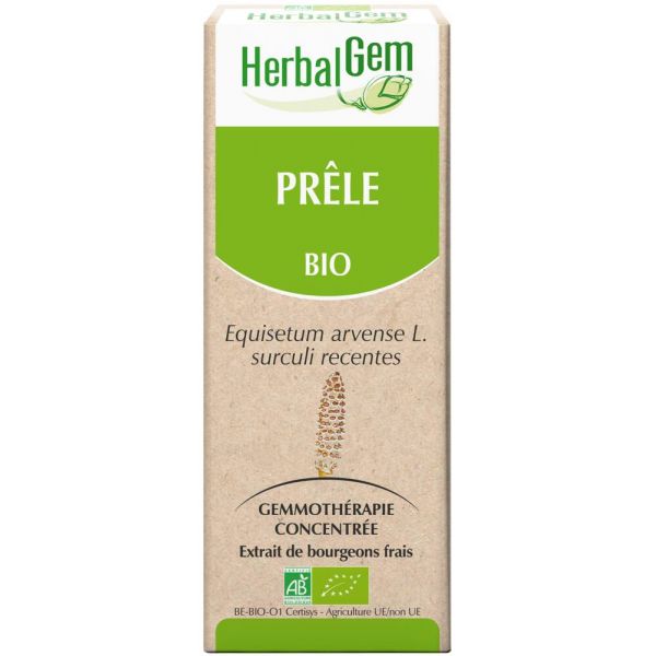 Prêle Bio - Extrait De Bourgeons Frais - 30 Ml - HerbalGem