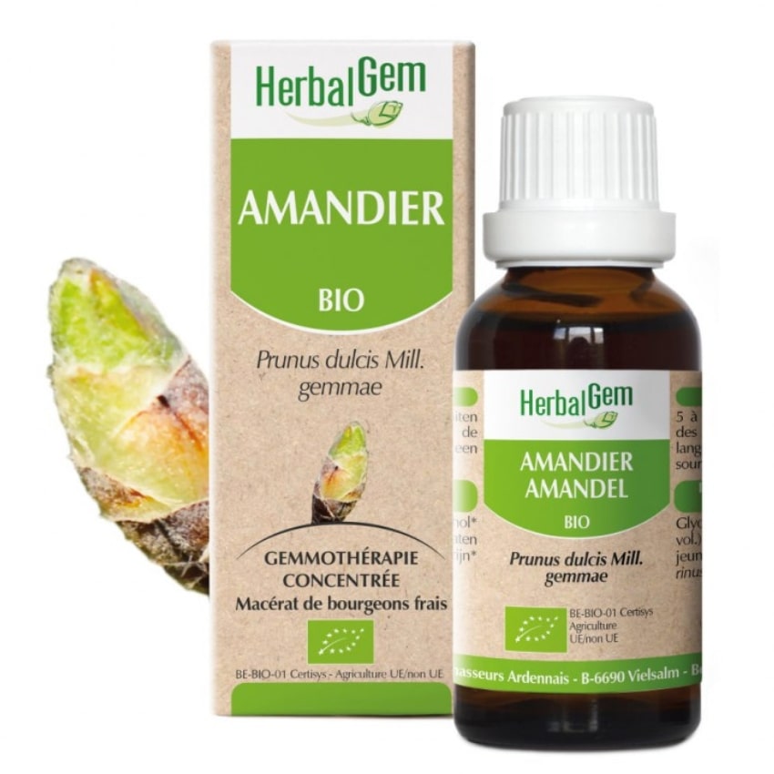 Un flacon d'extrait de bourgeons frais d'amandier bio de 30 ml de la marque HerbalGem.