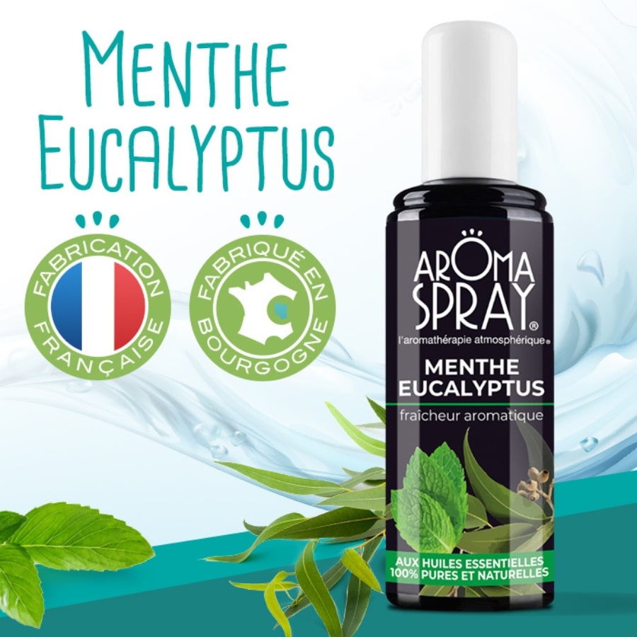 Un flacon de 100 ml d'aromaspray menthe eucalyptus avec une feuille de menthe et d'eucalyptus et deux logos fabrication française et fabriqué en bourgogne