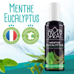 Un flacon de 100 ml d'aromaspray menthe eucalyptus avec une feuille de menthe et d'eucalyptus et deux logos fabrication française et fabriqué en bourgogne