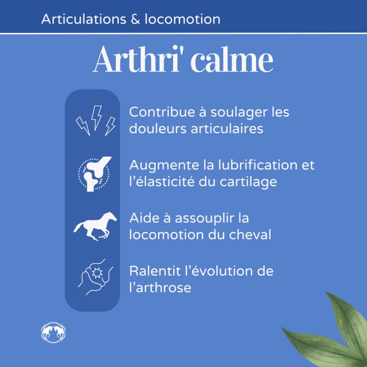 Bienfaits de l'arthri'calme de la marque Naturacheval