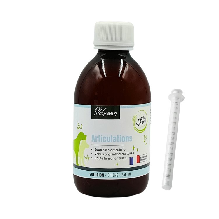 Flacon de 250ml de Articulations - Souplesse et Mobilité au Naturel de Pilagreen, complément pour soulager les douleurs articulaires des chiens et chats.