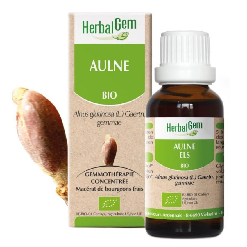 Aulne Bio - Extrait de bourgeons frais - 30 ml - HerbalGem