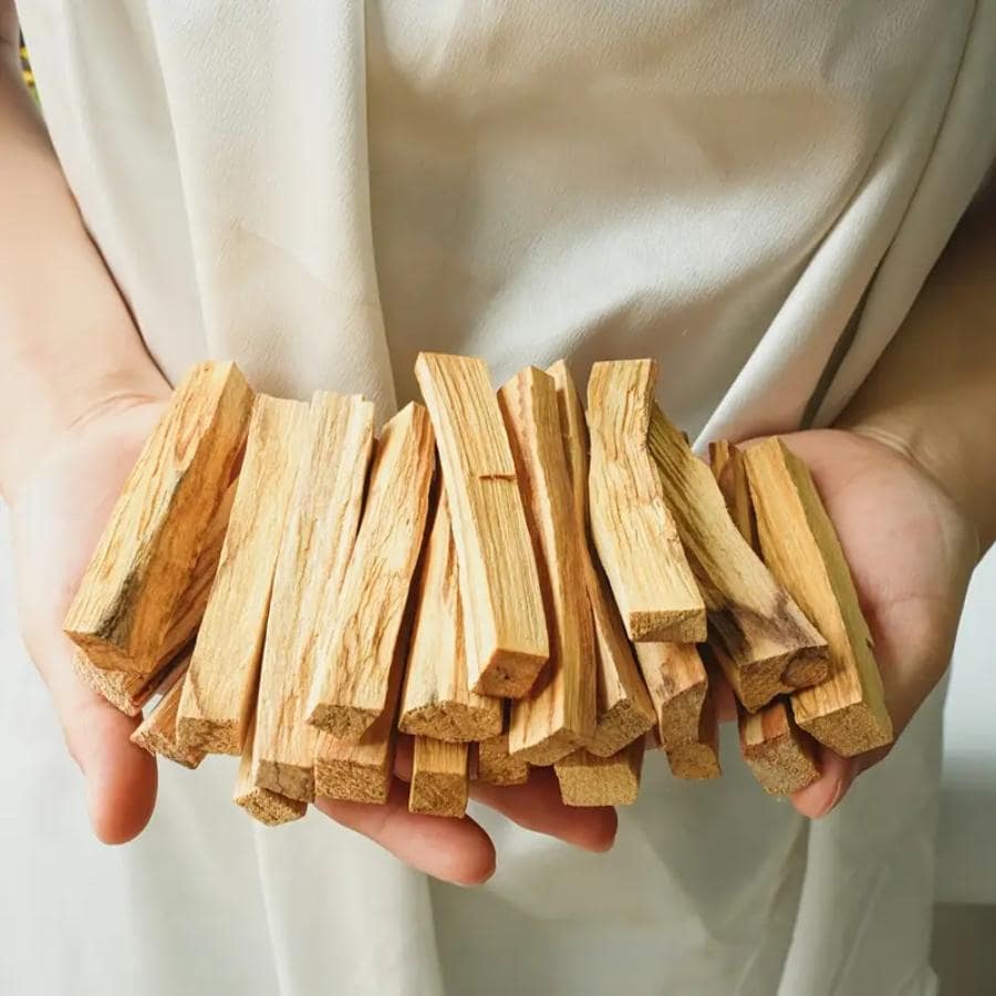 des Bâtons d'Encens en Bois Sacré Palo Santo tenus en main