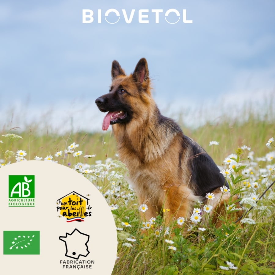 Un berger allemand dans un champ avec les logos agriculture biologique, fabrication française et un toit pour les abeilles ainsi que le logo de la marque Biovetol