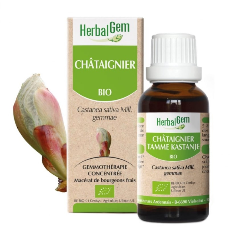 Un extrait de bourgeons frais de châtaignier de 30 ml de la marque HerbalGem.