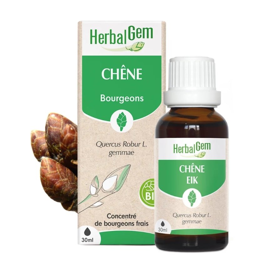 Un extrait de bourgeons frais de chêne 30 ml de la marque HerbalGem