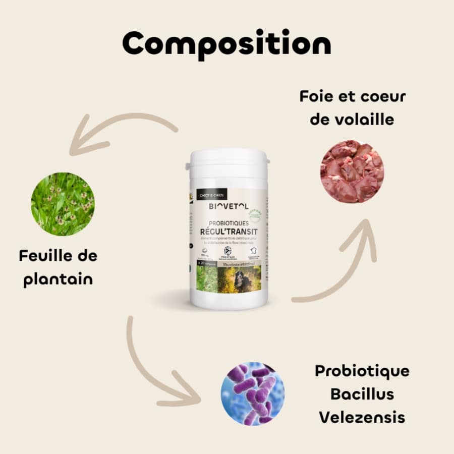 Composition des probiotiques régul'transit de la marque Biovetol pour chien