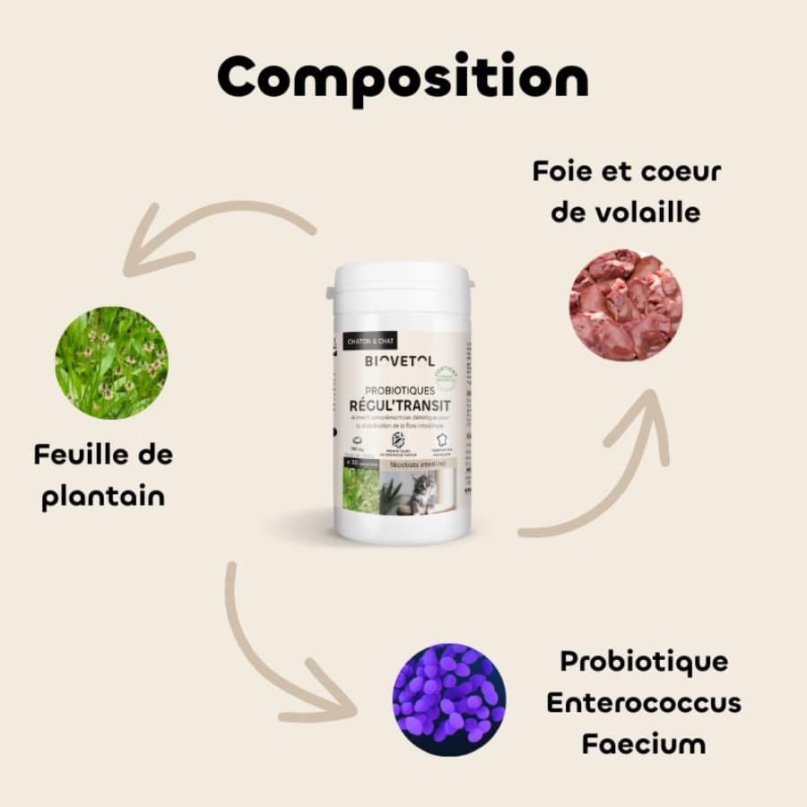 Composition des probiotiques régul'transit pour chaton et chat de la marque Biovetol