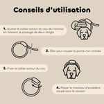 Conseils d'utilisation du collier antiparasitaire chiot et petit chien de la marque biovetol