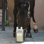 Un flacon de 1L de detox de la marque Naturacheval posé devant un cheval